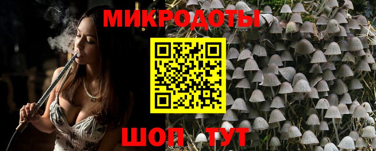 Каменск-Шахтинский  Псилоцибиновые грибы Cubensis  Вход с VPN  Галлюциногенные грибы мухоморы 