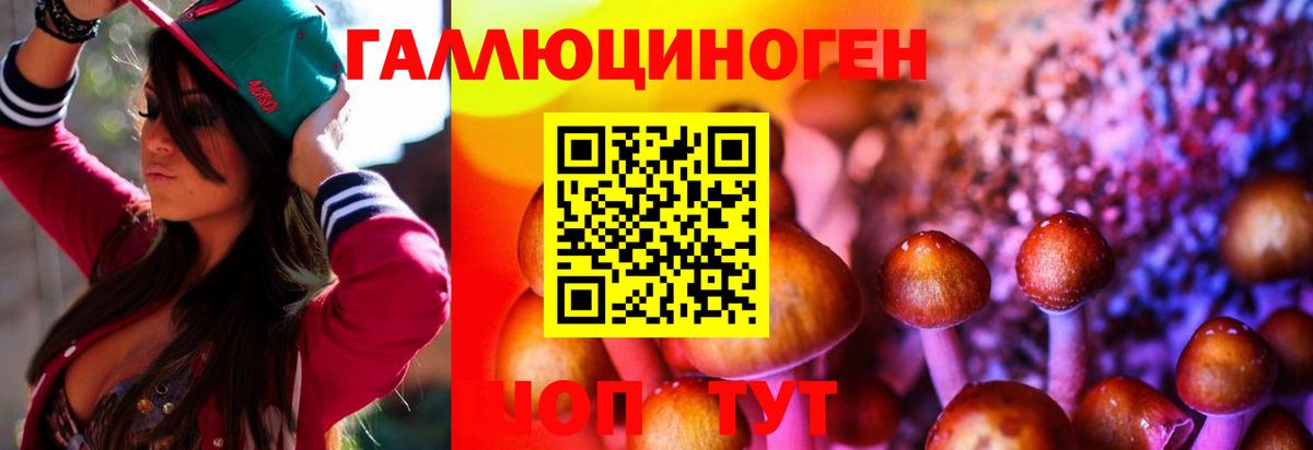 Галлюциногенные грибы ЛСД Каменск-Шахтинский